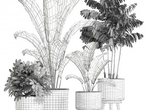 plants in a flowerpots for the interior 865 3D Model