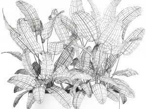 banana bush in a pot for the interior 866 Modèle 3D