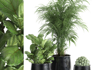 houseplants in a pot for the interior 869 3D Model