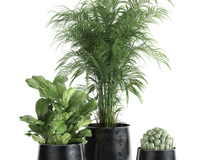 houseplants in a pot for the interior 869 3D Model