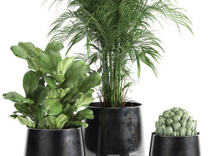 plantas de casa em vaso para o interior 869 Modelo 3D