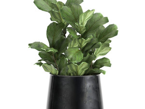 houseplants in a pot for the interior 869 3D Model