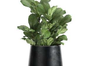 plantas de casa em vaso para o interior 869 Modelo 3D