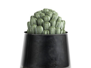 houseplants in a pot for the interior 869 3D Model