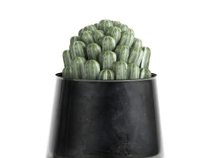 plantas de casa em vaso para o interior 869 Modelo 3D