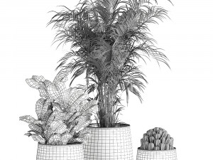 houseplants in a pot for the interior 869 3D Model