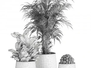plantas de casa em vaso para o interior 869 Modelo 3D