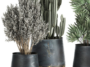 houseplants in a pot for the interior 870 Modèle 3D