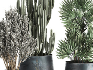 houseplants in a pot for the interior 870 Modèle 3D