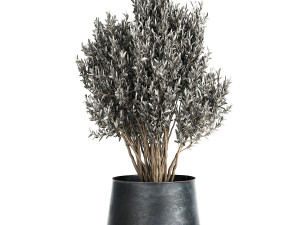 houseplants in a pot for the interior 870 Modèle 3D