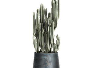 houseplants in a pot for the interior 870 Modèle 3D