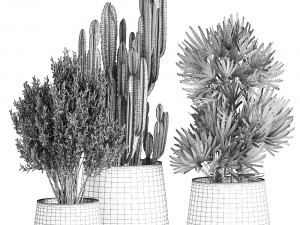 houseplants in a pot for the interior 870 Modèle 3D