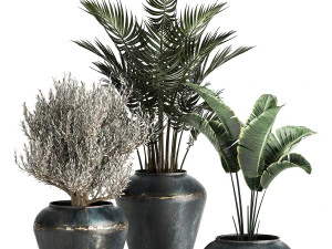 комнатные растения в горшке для интерьера 871 3D Модель