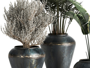 houseplants in a pot for the interior 871 3D Model