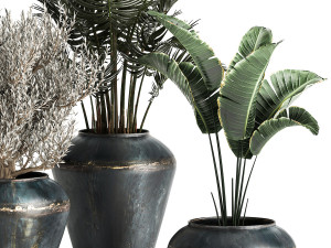 houseplants in a pot for the interior 871 3D Model