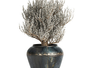 houseplants in a pot for the interior 871 3D Model