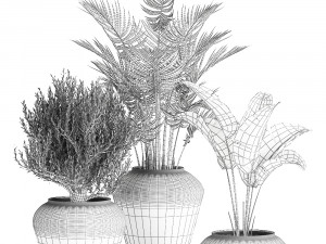 houseplants in a pot for the interior 871 3D Model