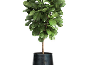 houseplants in a pot for the interior 873 3Dモデル