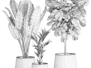 houseplants in a pot for the interior 873 3Dモデル