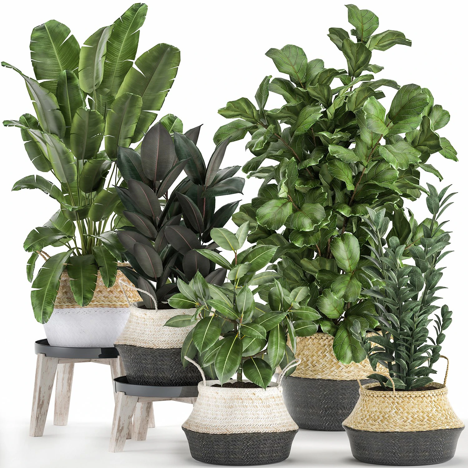 plants in rattan basket for the interior 874 3D Model .c4d .max .obj .3ds .fbx .stl .blend