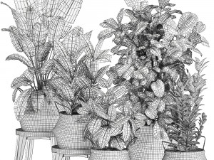 plants in rattan basket for the interior 874 Model 3D