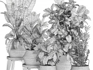 plants in rattan basket for the interior 874 3D Model