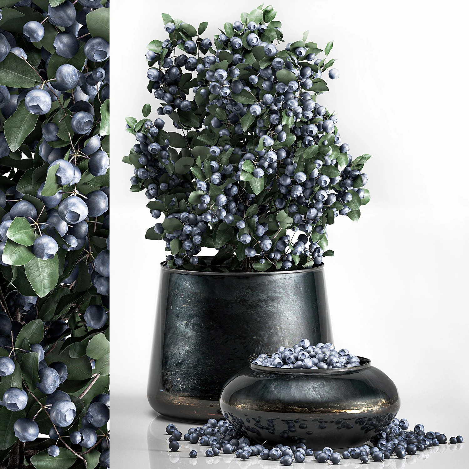 blueberry tree in pots bowl with berries 3D Model .c4d .max .obj .3ds .fbx .stl .blend
