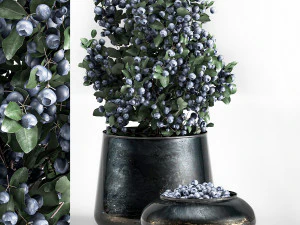 Blaubeerbaum in Töpfen Schüssel mit Beeren 3D Modell