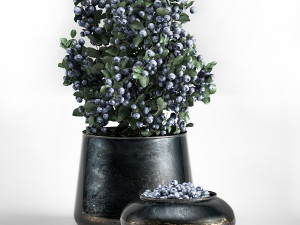 blueberry tree in pots bowl with berries Modello 3D