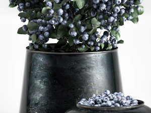 blueberry tree in pots bowl with berries 3D Model