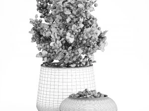 blueberry tree in pots bowl with berries 3D Model