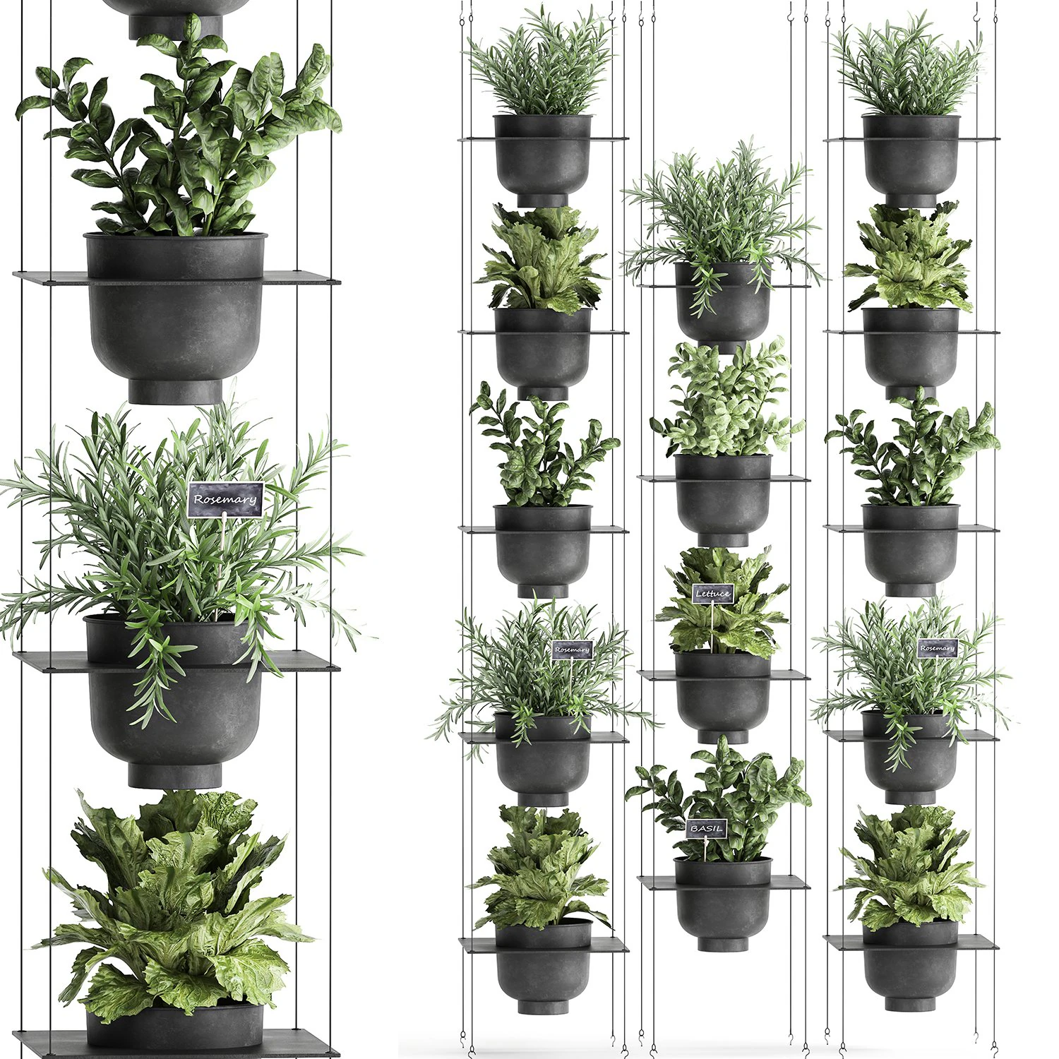 vertical gardening 62 3D Model .c4d .max .obj .3ds .fbx .stl .blend