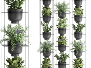 vertical gardening 62 3Dモデル