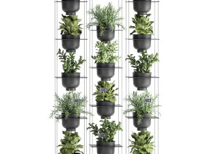 vertical gardening 62 3D Model