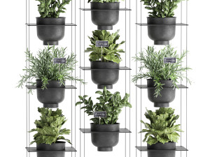 vertical gardening 62 Modelo 3D