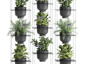 vertical gardening 62 3D Model