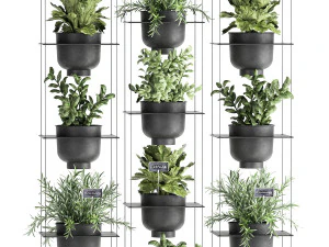 vertical gardening 62 3D Model