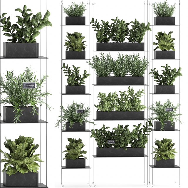 vertical gardening 63 3D Model .c4d .max .obj .3ds .fbx .stl .blend 