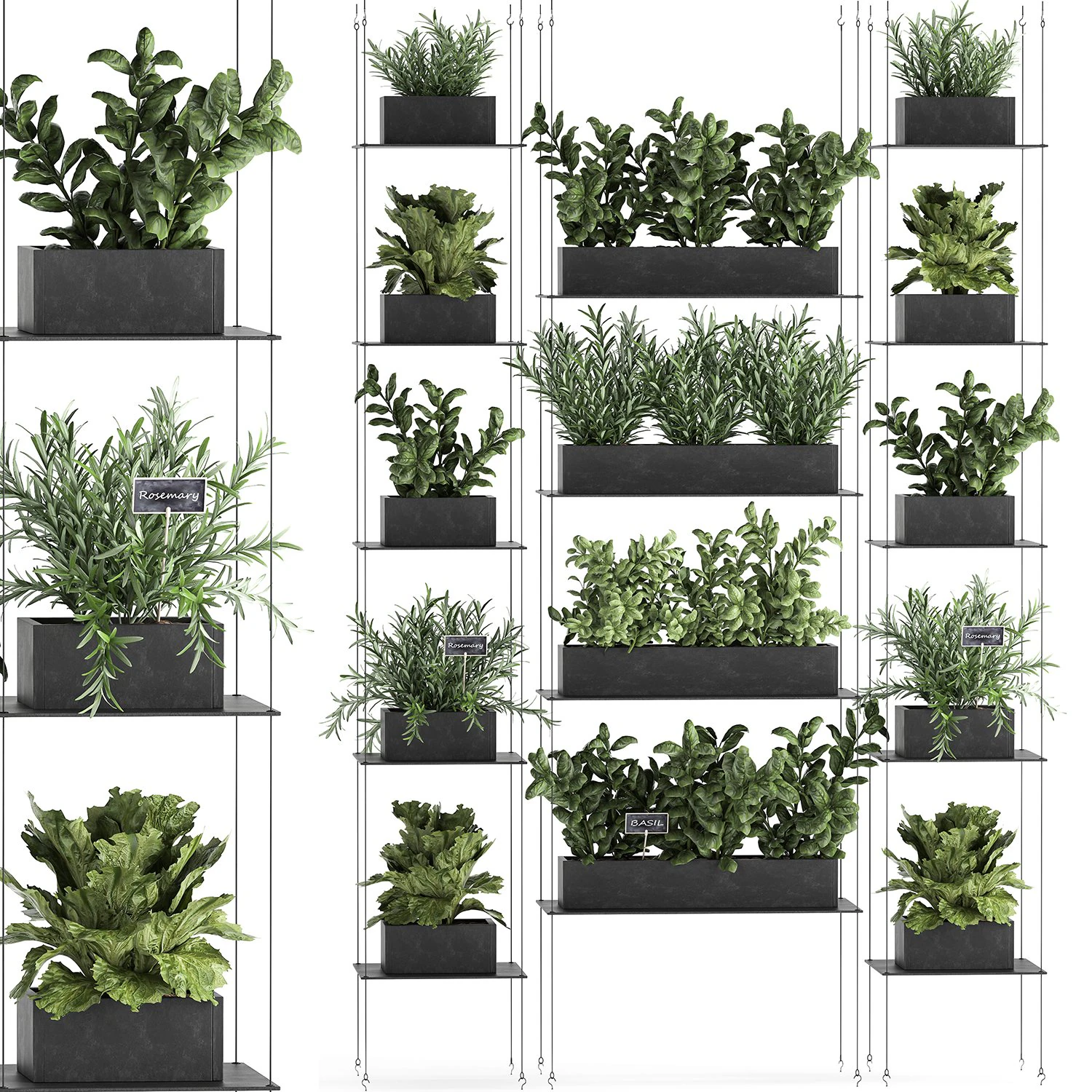 vertical gardening 63 3D Model .c4d .max .obj .3ds .fbx .stl .blend 