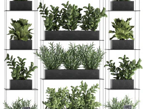 vertical gardening 63 3D Model