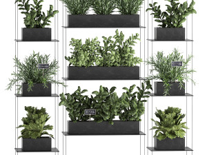 vertical gardening 63 3D Model