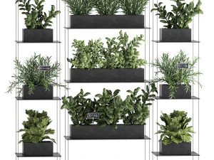 vertical gardening 63 3D Model
