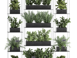 vertical gardening 63 3D Model