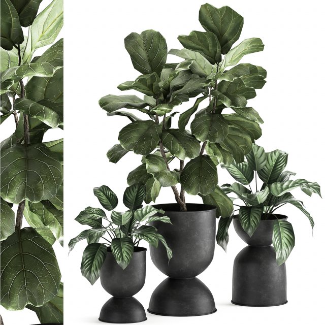 houseplants in a pot for the interior 876 3D Model .c4d .max .obj .3ds .fbx .stl .blend 