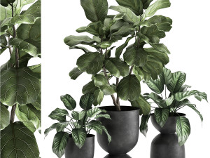 houseplants in a pot for the interior 876 3D Model