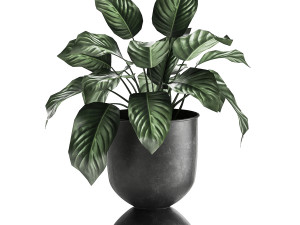 houseplants in a pot for the interior 876 3D Model