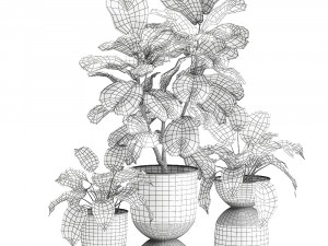 houseplants in a pot for the interior 876 3D Model