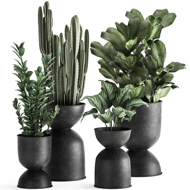 houseplants in a pot for the interior 877 Modelo 3D .c4d .max .obj .3ds .fbx .stl .blend 
