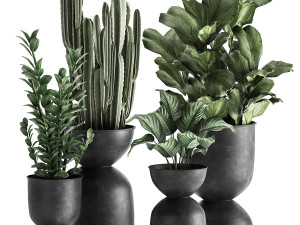 houseplants in a pot for the interior 877 Model 3D