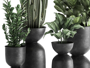 houseplants in a pot for the interior 877 Modelo 3D